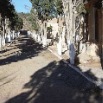 Cimetiere-4
