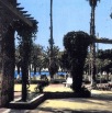Jardin public la piste de danse