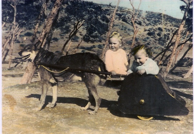 Loading Image