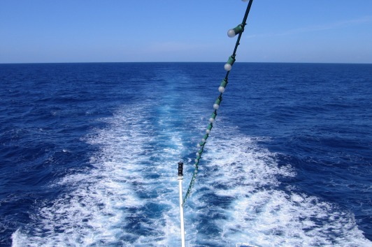 Loading Image